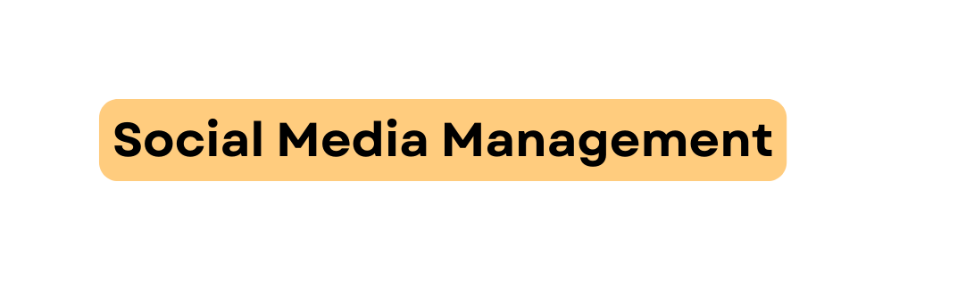 Social Media Management
